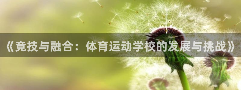 bbin视讯游戏官网：《竞技与融合：体育运动学校的发展与挑战》