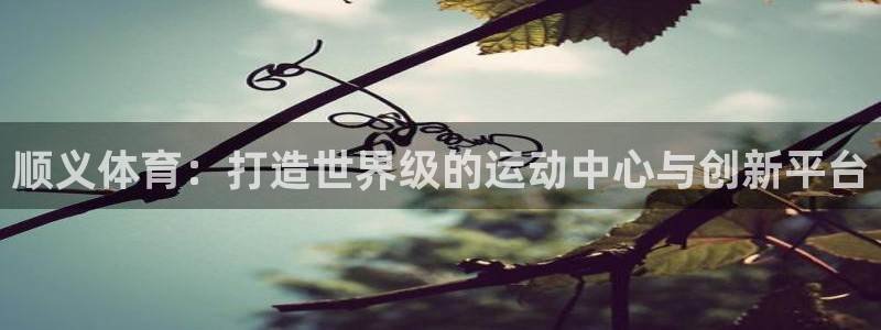 bbin视讯游戏平台：顺义体育：打造世界级的运动中心与创新平台