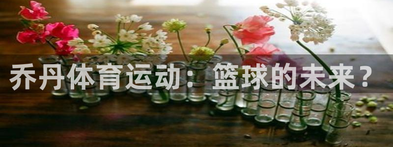 bbin视讯下：乔丹体育运动：篮球的未来？