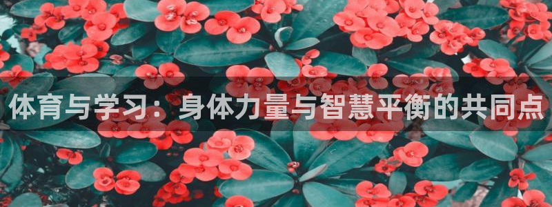 bbin视讯游戏官网：体育与学习：身体力量与智慧平衡的共同点