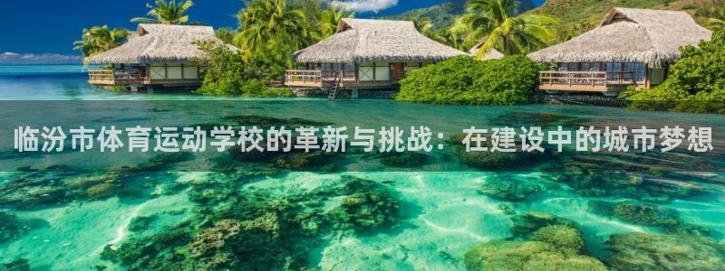 bbin视讯下：临汾市体育运动学校的革新与挑战：在建设中的城市梦想
