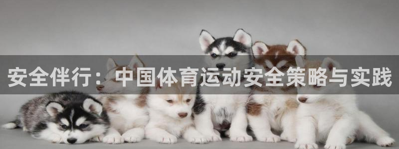 bbin视讯下：安全伴行：中国体育运动安全策略与实践