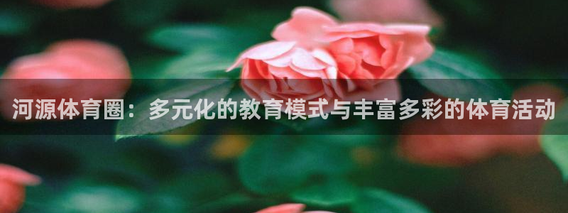 bbin视讯游戏平台：河源体育圈：多元化的教育模式与丰富多彩的体育活动