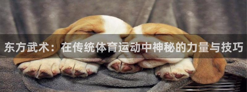 bbin视讯游戏平台：东方武术：在传统体育运动中神秘的力量与技巧