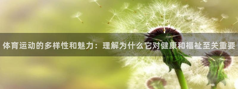 bbin视讯下：体育运动的多样性和魅力：理解为什么它对健康和福祉至关重要