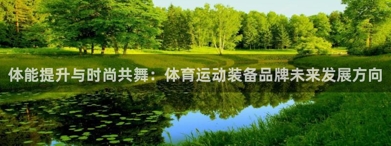 bbin视讯：体能提升与时尚共舞：体育运动装备品牌未来发展方向