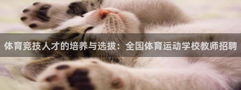 bbin视讯游戏平台：体育竞技人才的培养与选拔：全国体育运动学校教师招聘